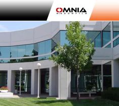 Pellicola per vetri verde