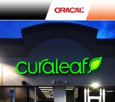 Oracal 8500 pellicola traslucente